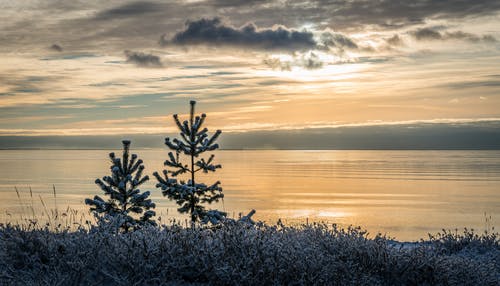 日落照片中的湖景 · 免费素材图片