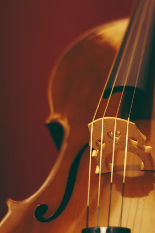小提琴的焦点照片弦 · 免费素材图片
