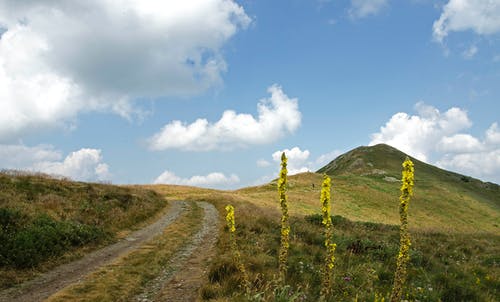 山旁巷道的风景摄影 · 免费素材图片