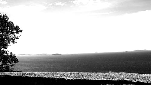 水体的灰度照片 · 免费素材图片