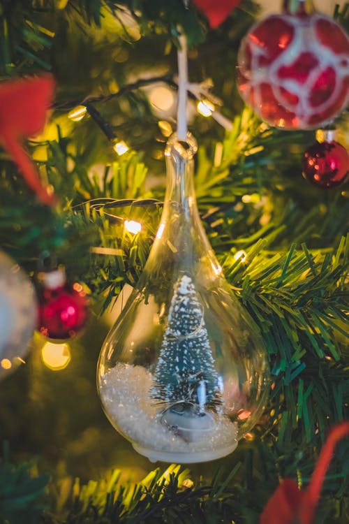 透明玻璃绿色圣诞树装饰品 · 免费素材图片