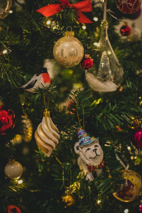 圣诞树上的什锦的饰品 · 免费素材图片
