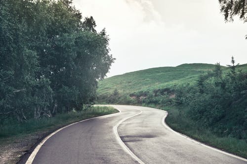 树木附近的柏油路摄影 · 免费素材图片