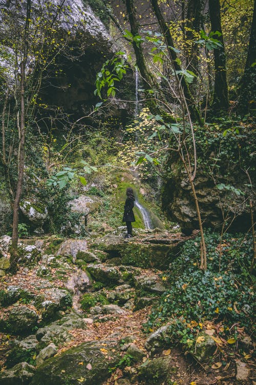 在森林里穿黑色风衣的女人 · 免费素材图片