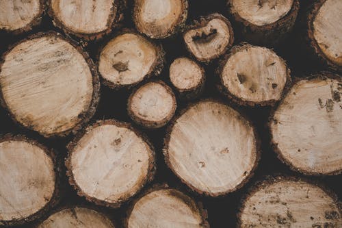 棕色原木 · 免费素材图片