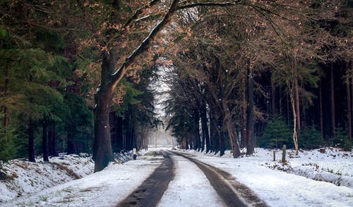 冬季道路摄影 · 免费素材图片