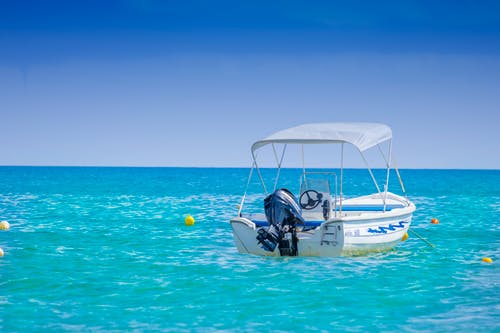 停在水体上的白弓骑士 · 免费素材图片