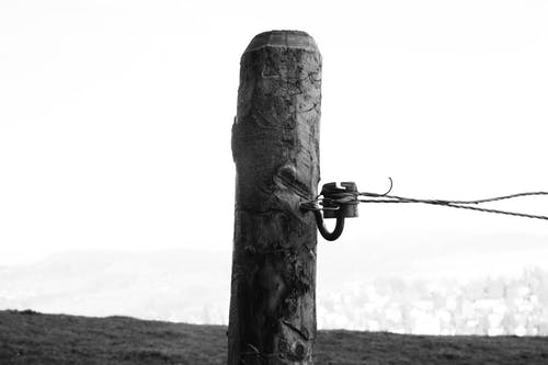 电缆绑在柱子上 · 免费素材图片