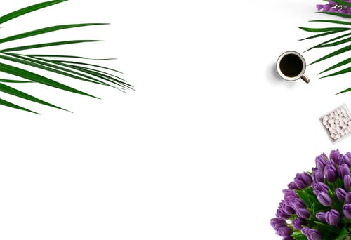 有关Flatlay, 俯视图, 树叶的免费素材图片