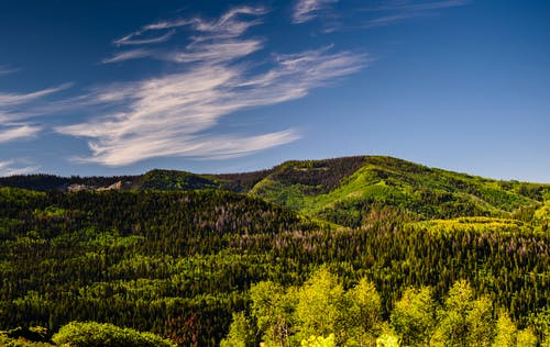 绿树和蓝天下的山 · 免费素材图片