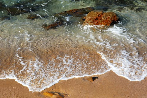 在水体上的棕岩 · 免费素材图片