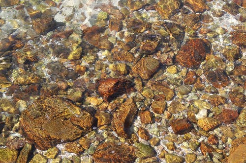 石头在清澈的水 · 免费素材图片