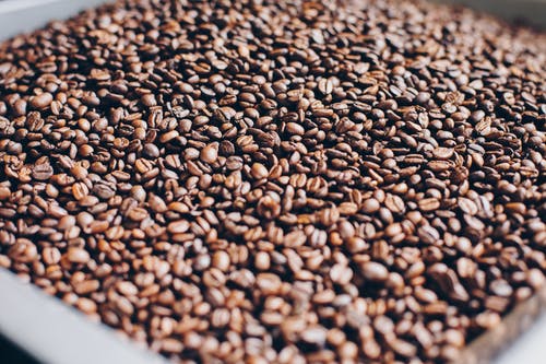 烤咖啡豆的特写摄影 · 免费素材图片