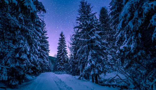 有关下雪的, 冬季, 冬季景观的免费素材图片