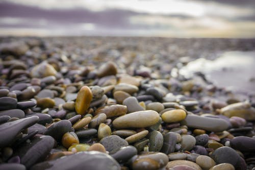 湿石头的特写摄影 · 免费素材图片