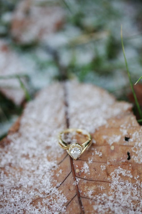 钻石梨切的戒指与雪的棕色叶子上 · 免费素材图片