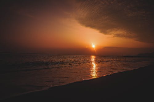在日落海滩岸 · 免费素材图片
