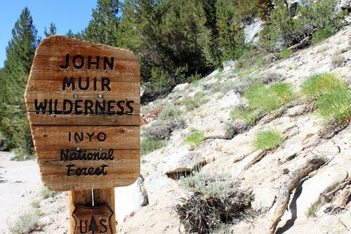 约翰·缪尔（John Muir）荒野标牌 · 免费素材图片