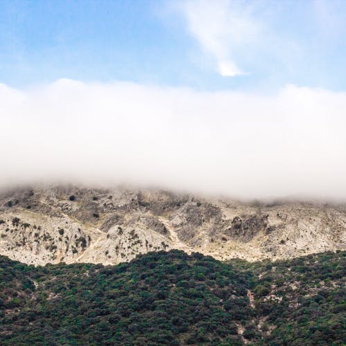 在蓝天之上的山附近的绿树 · 免费素材图片