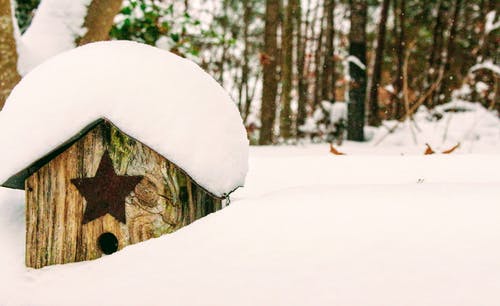 棕色木制鸟笼覆盖着雪 · 免费素材图片