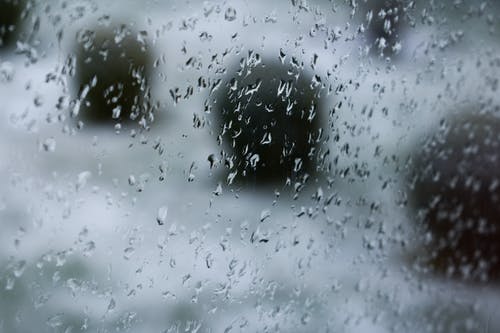 雨滴的浅焦点摄影 · 免费素材图片