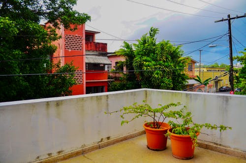 两个绿叶植物与橙色花盆在露台上 · 免费素材图片