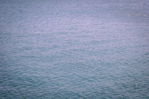 白天水的选择性聚焦照片 · 免费素材图片