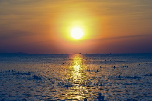 人们在日落时在海洋中游泳的剪影 · 免费素材图片