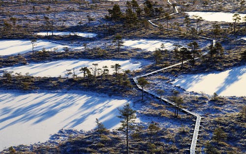 树木环绕的冰冻湖泊的航拍 · 免费素材图片