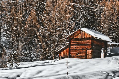 棕色木制小屋在森林附近的雪景 · 免费素材图片