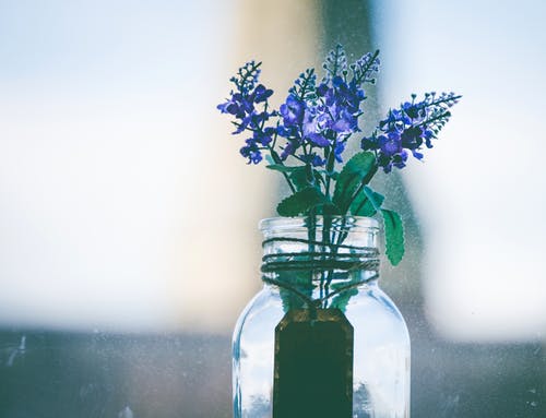 透明玻璃花瓶中的紫色花朵的特写摄影 · 免费素材图片