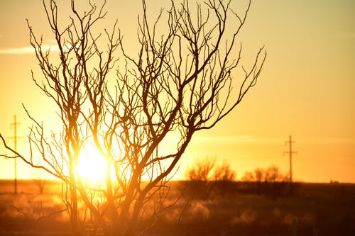 黄金时段分行照片 · 免费素材图片