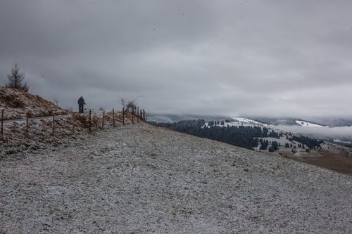 人站在树和栅栏附近 · 免费素材图片