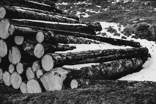 堆积木原木的灰度照片 · 免费素材图片