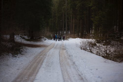在冰冷的路上行走的人 · 免费素材图片