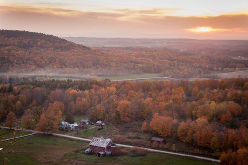 棕色和白色墙壁油漆房子缩影 · 免费素材图片