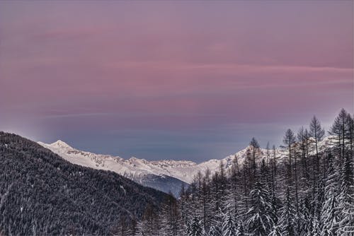 积雪和树木环绕的山脉照片 · 免费素材图片