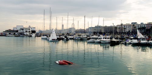 白色动力船和游艇停在水面上 · 免费素材图片