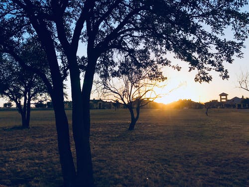太阳落山时的绿草田 · 免费素材图片