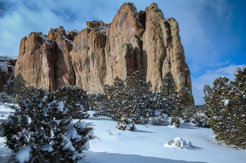 多云的蓝天下白雪皑皑的树木附近的布朗山的风景摄影 · 免费素材图片