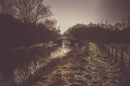 绿草地 · 免费素材图片