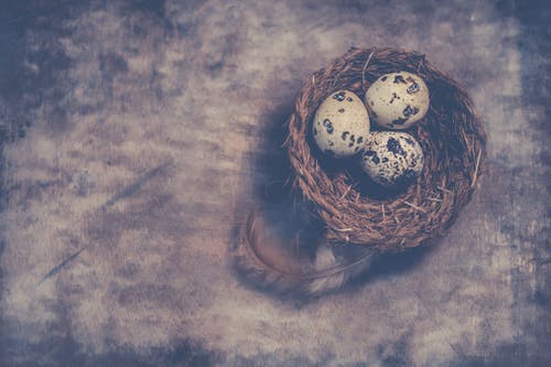 鹌鹑蛋在巢上的特写摄影 · 免费素材图片