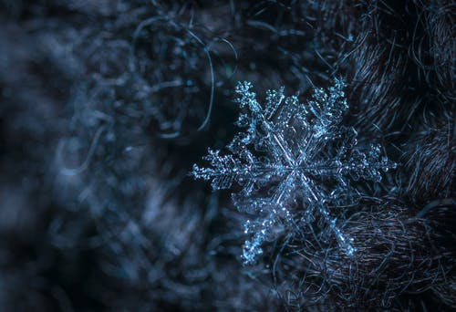 雪花的微距摄影 · 免费素材图片