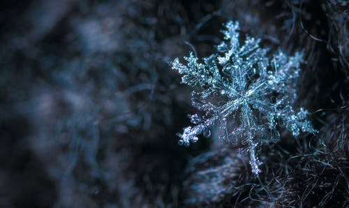 雪花的特写摄影 · 免费素材图片