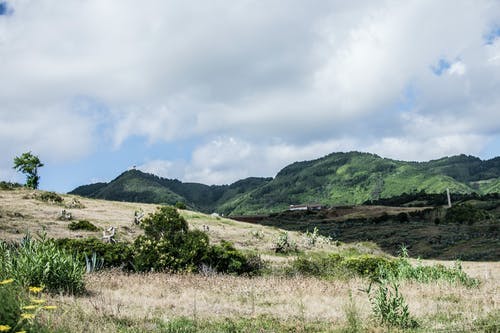 山顶上的绿草摄影 · 免费素材图片