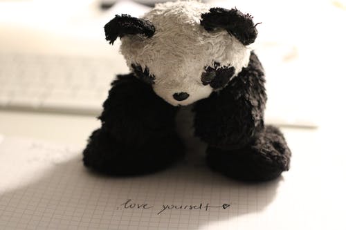 熊猫毛绒玩具 · 免费素材图片