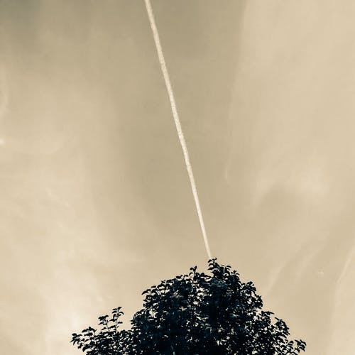 多云的天空下的绿叶树 · 免费素材图片