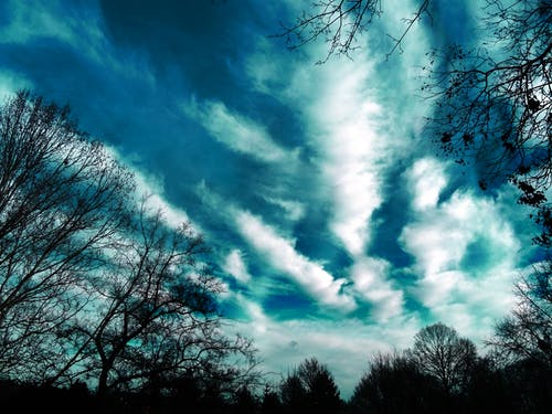 树木和云层摄影 · 免费素材图片