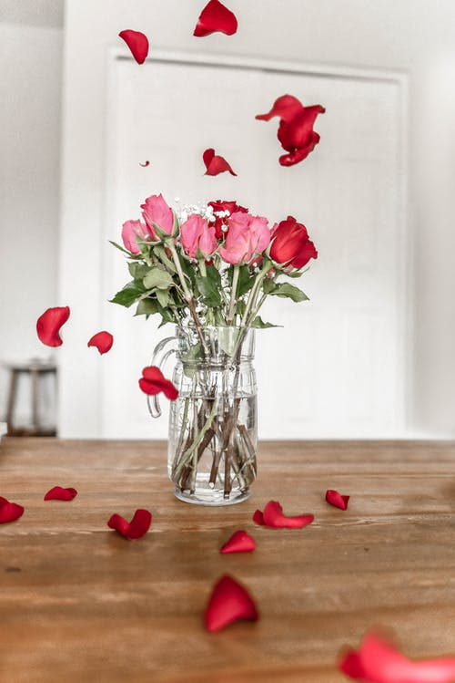 透明玻璃投手上的粉红和红色玫瑰 · 免费素材图片