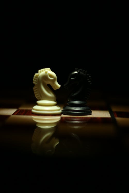 国际象棋棋盘上的两个白色和黑色的国际象棋骑士 · 免费素材图片